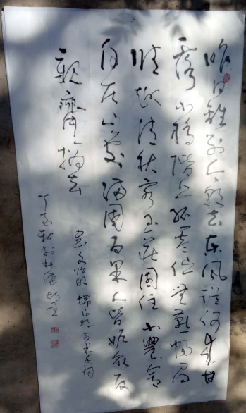 书法家赵国祥